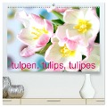 Tulpen, Tulips, Tulipes (hochwertiger Premium Wandkalender 2025 DIN A2 quer), Kunstdruck in Hochglanz - Gisela Kruse