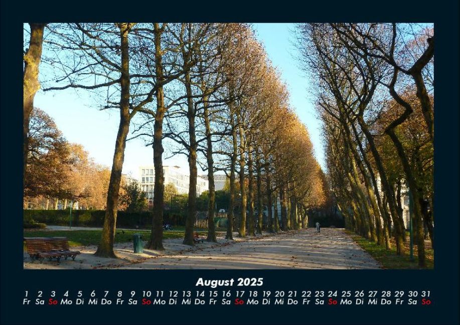 InsideView 12
