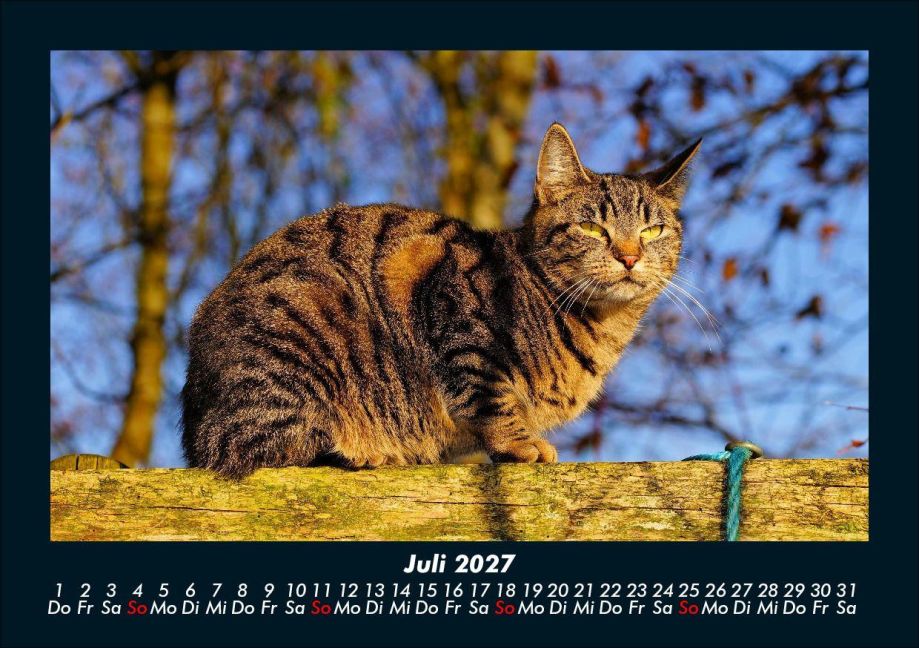 InsideView 11