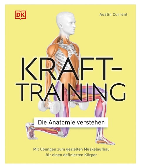 Krafttraining - Die Anatomie verstehen - Austin Current