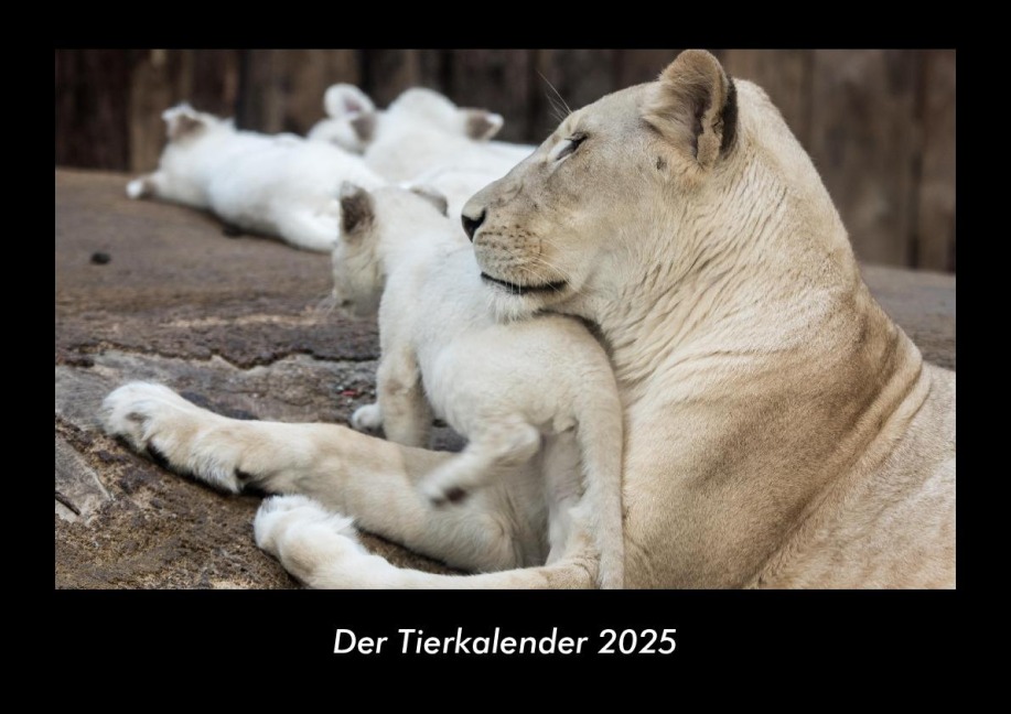Der Tierkalender 2025 Fotokalender DIN A3 - Tobias Becker