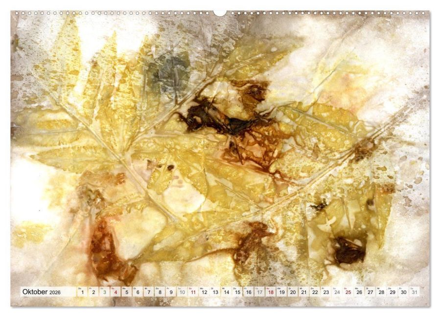 InsideView 2