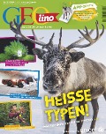 Cover-Bild zum Titel 'GEOlino 12/2019 - Heisse Typen - Wie Rentiere der Kälte trotzen' von 'GEOlino Redaktion'