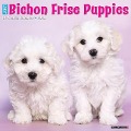 Just Bichon Frise Puppies 2024 12 X 12 Wall Calendar - Willow Creek Press