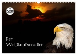Cover-Bild zum Titel 'Der Weißkopfseeadler (Wandkalender 2026 DIN A3 quer), CALVENDO Monatskalender' von 'Arno Klatt'