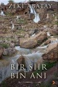 Cover-Bild zum Titel 'Bir Siir Bin Ani' von 'Zeki Abatay'