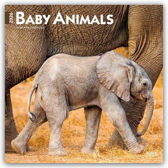 Baby Animals - Tierbabys - Tierkinder 2026 - 16-Monatskalender - Browntrout Publishers