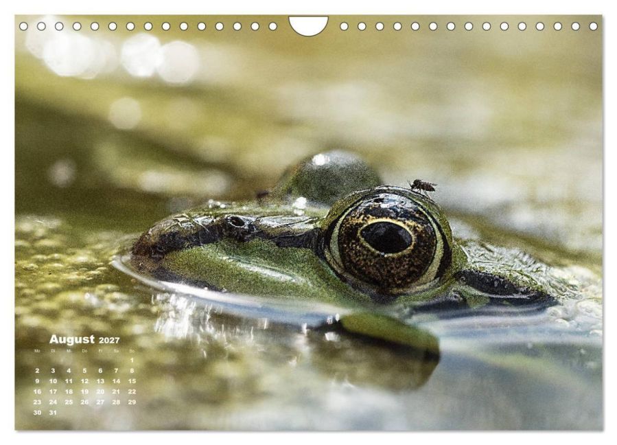 InsideView 13