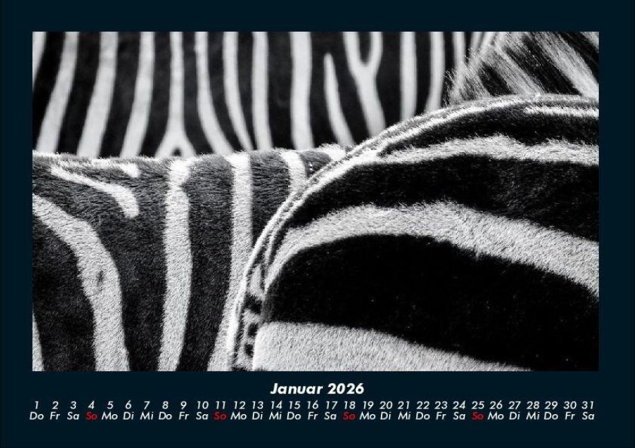 InsideView 5