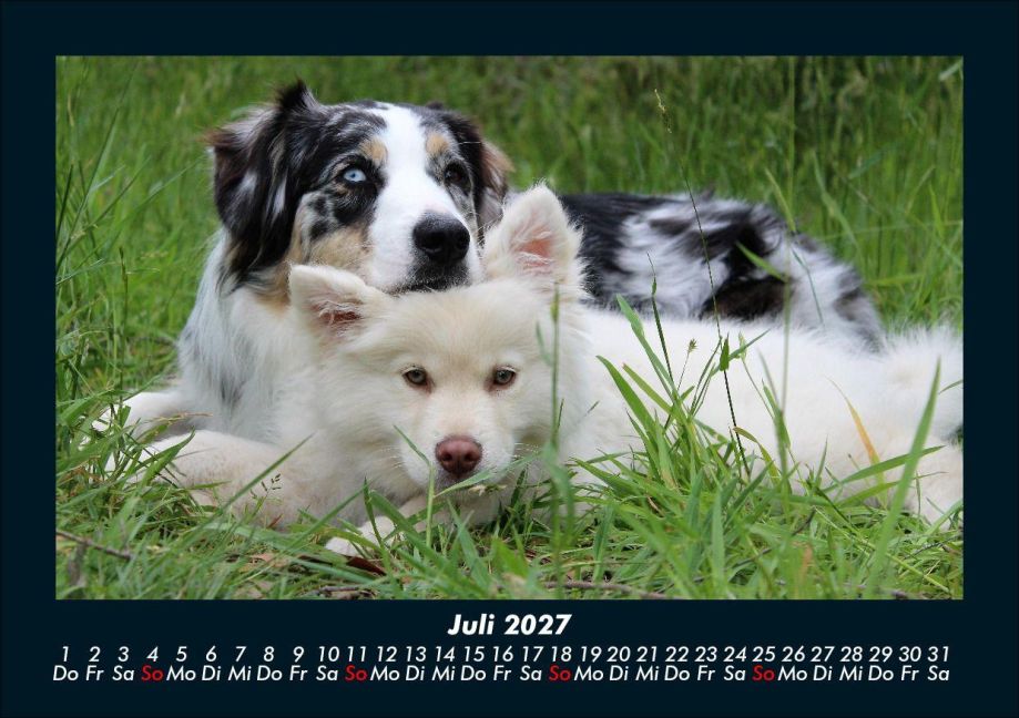 InsideView 11