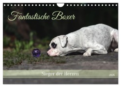 Cover-Bild zum Titel 'Fantastische Boxer - Sieger der Herzen (Wandkalender 2026 DIN A4 quer), CALVENDO Monatskalender' von 'Yvonne Janetzek'