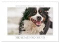 Emotionale Momente: Berner Sennenhund. (Wandkalender 2024 DIN A2 quer), CALVENDO Monatskalender - Ingo Gerlach GDT