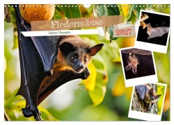 Cover-Bild zum Titel 'Fledermäuse - kleine Vampire (Wandkalender 2027 DIN A3 quer), CALVENDO Monatskalender' von 'Susan Michel'