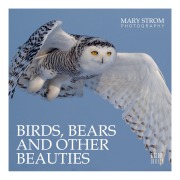 Cover-Bild zum Titel 'Birds, Bears and other Beauties' von 'Mary Strom'