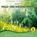 Sanfte Wald-und Wiesenstimmung - Naturklang