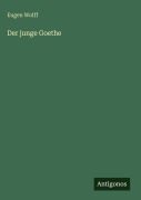 Cover-Bild zum Titel 'Der junge Goethe' von 'Eugen Wolff'