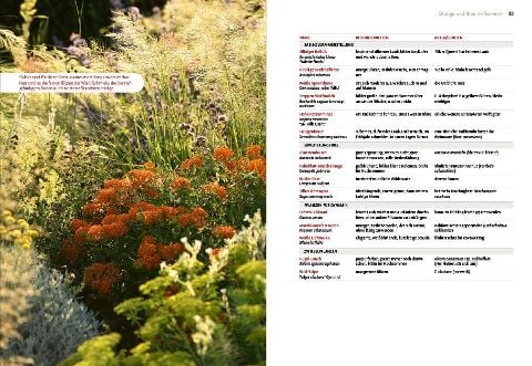 InsideView 5