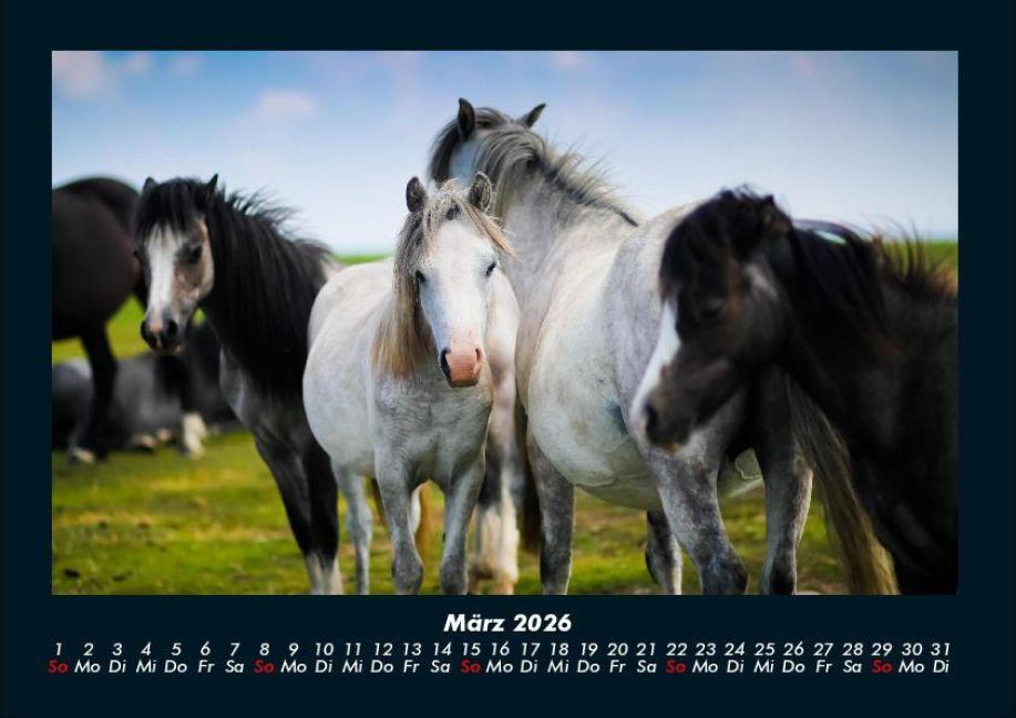 InsideView 7