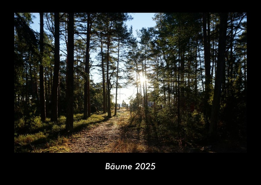 Bäume 2025 Fotokalender DIN A3 - Tobias Becker