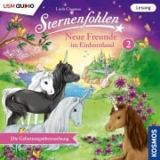 Cover-Bild zum Titel 'Die Geburtstagsüberraschung' von 'Linda Chapman, Cordula Setsman'
