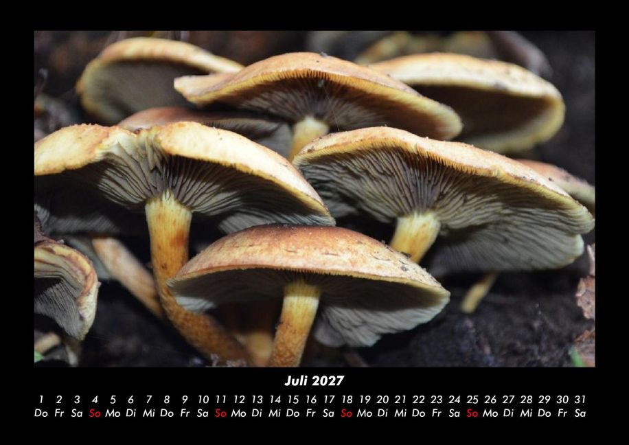 InsideView 11