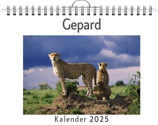 Cover-Bild zum Titel 'Gepard' von 'Jonah Huber'