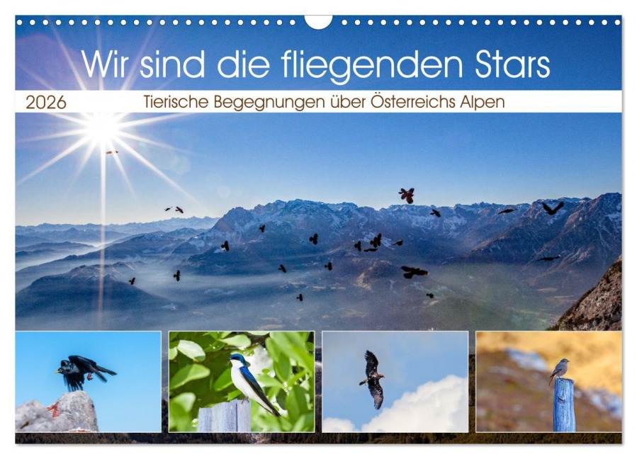 Wir sind die fliegenden Stars (Wandkalender 2026 DIN A3 quer), CALVENDO Monatskalender - Christa Kramer