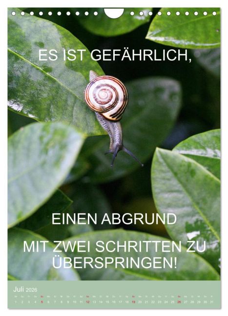 InsideView 12