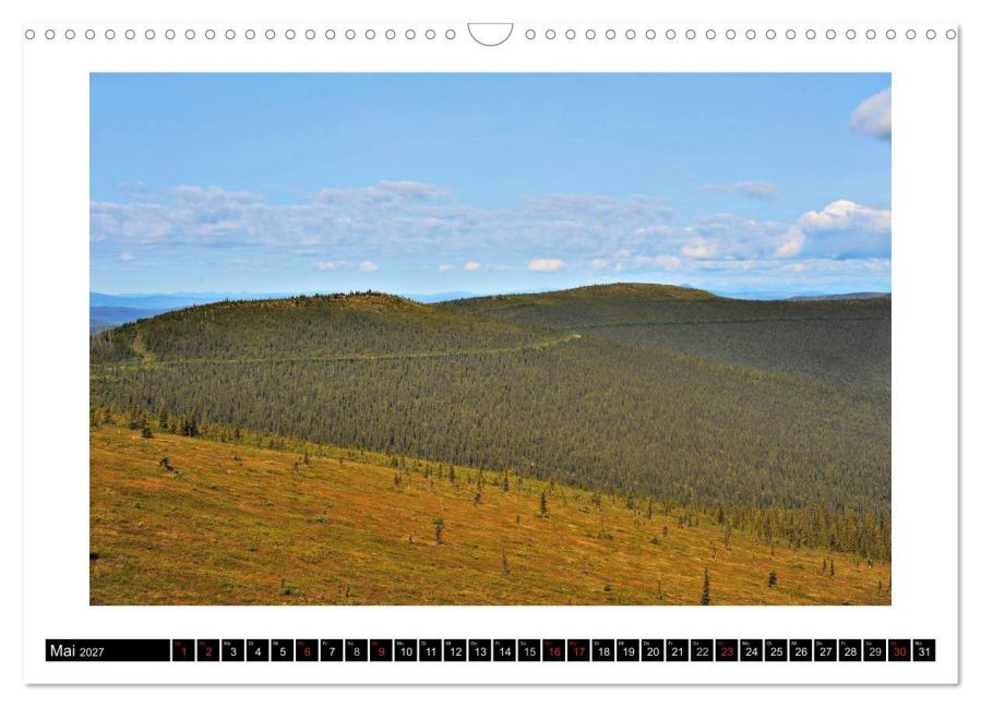 InsideView 10