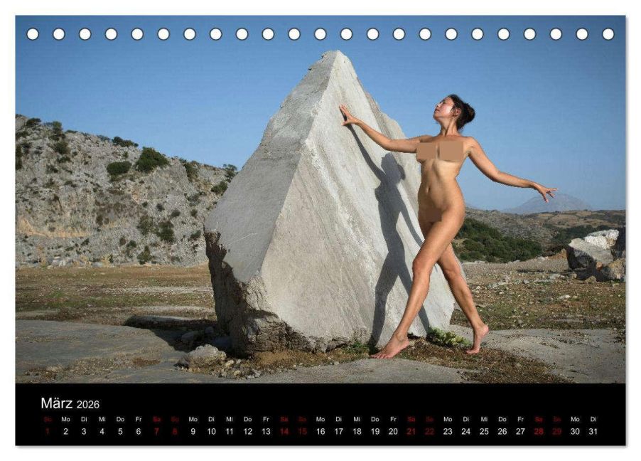 InsideView 8