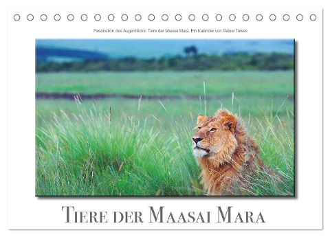 Tiere der Maasai Mara (Tischkalender 2025 DIN A5 quer), CALVENDO Monatskalender - Rainer Tewes