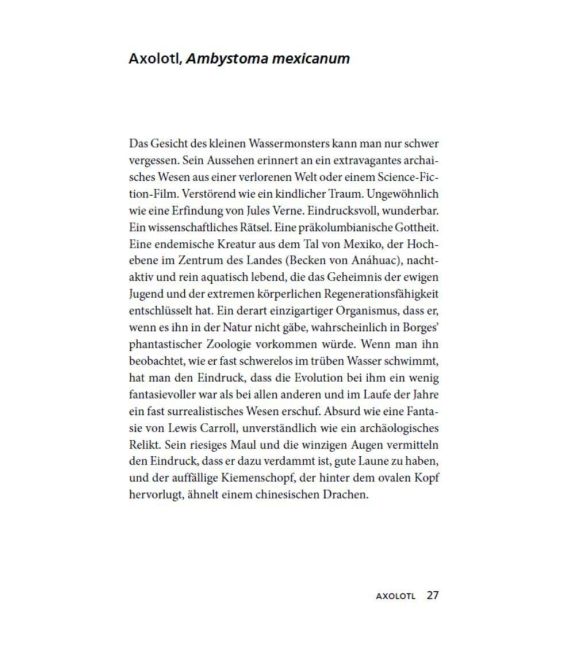 InsideView 4
