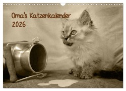 Oma's Katzenkalender 2026 (Wandkalender 2026 DIN A3 quer), CALVENDO Monatskalender - Sylvia Säume