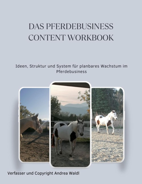Das Pferdebusiness Content Workbook - Andrea Waldl