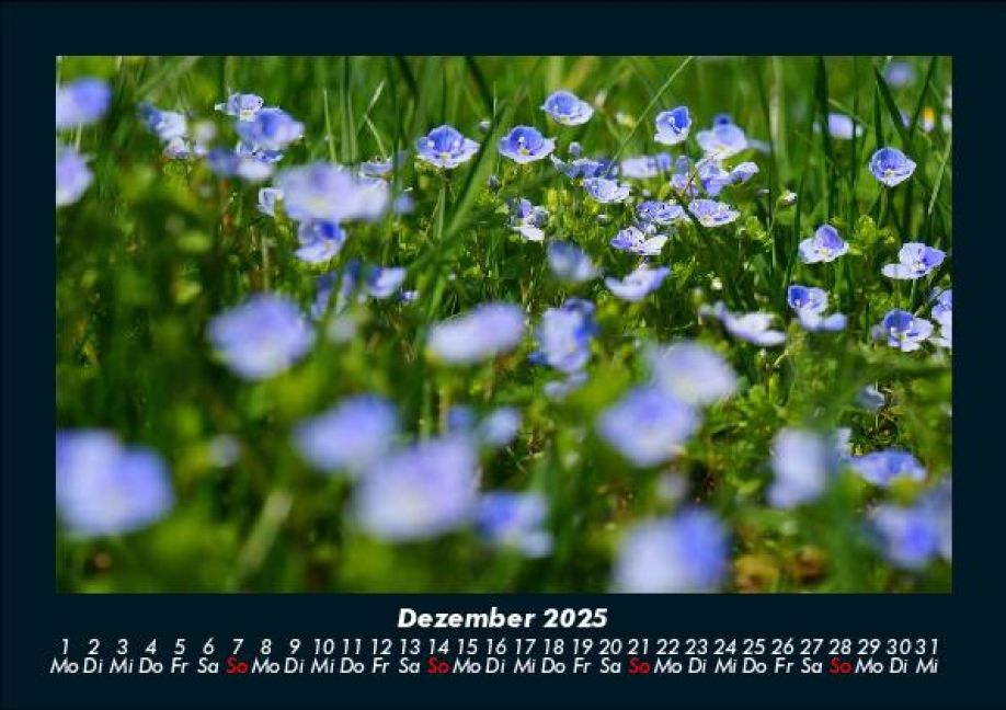 InsideView 4