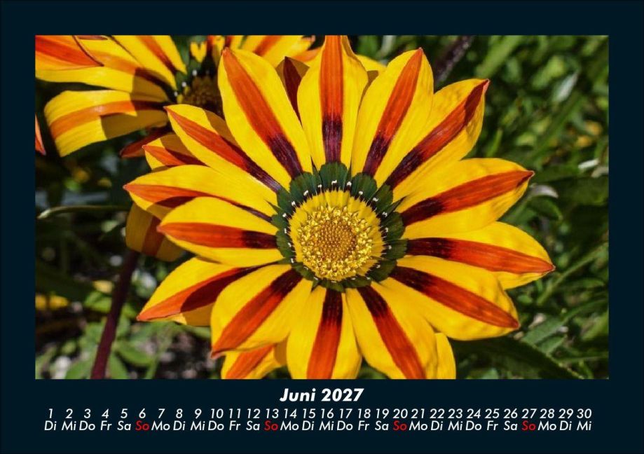 InsideView 10