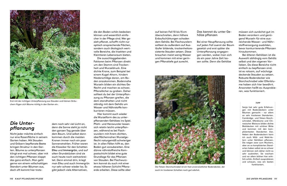InsideView 8