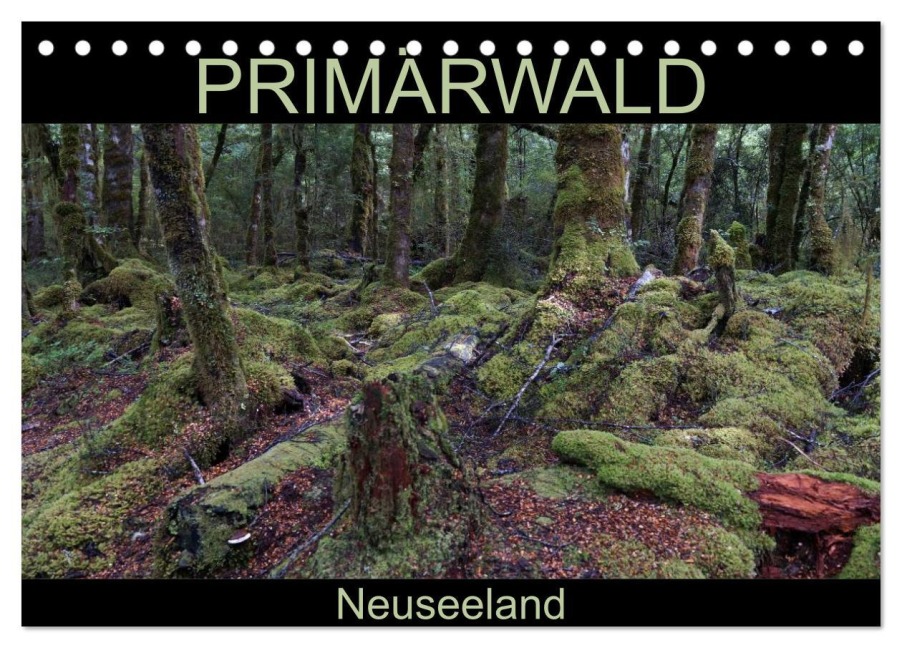 Primärwald - Neuseeland (Tischkalender 2026 DIN A5 quer), CALVENDO Monatskalender - Flori Flori0
