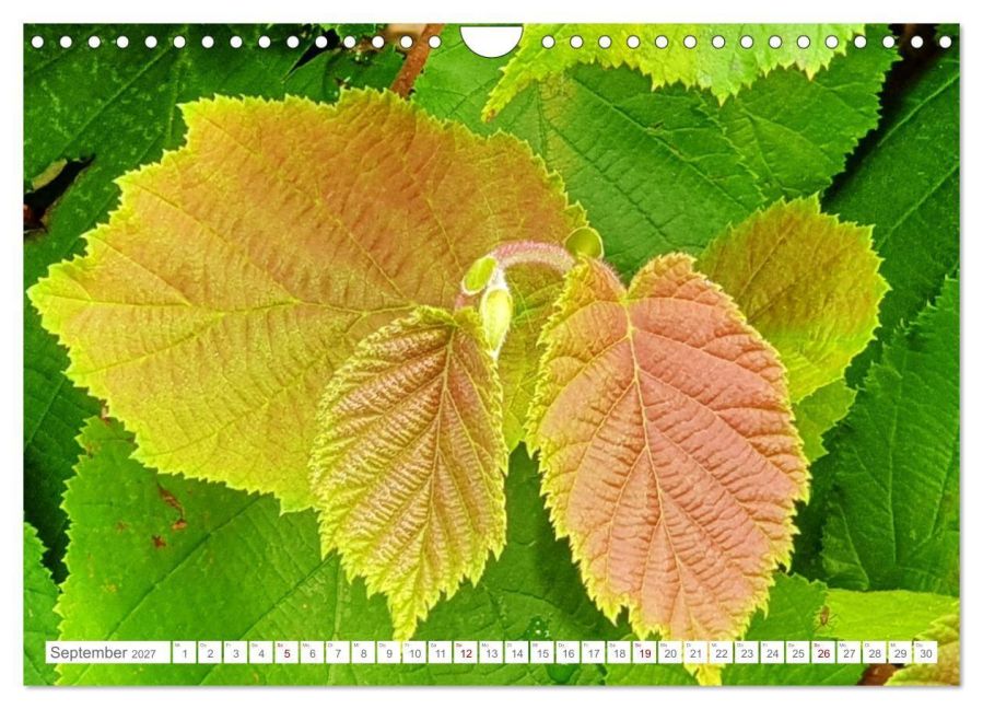InsideView 14