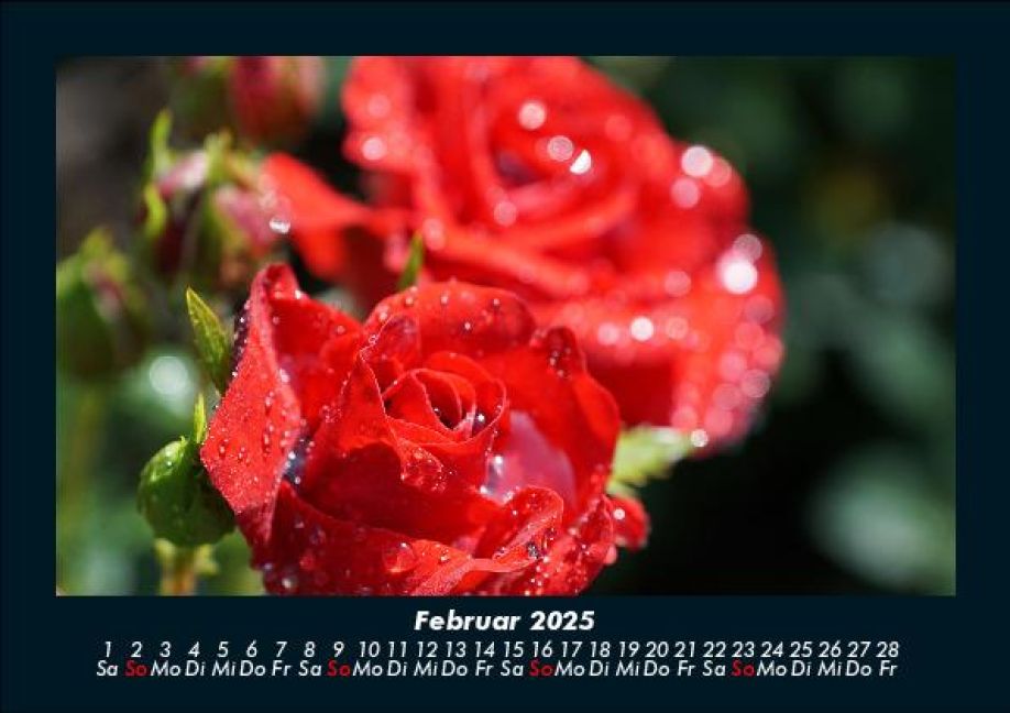 InsideView 6