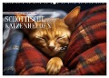 Schottische Katzenhelden (Wandkalender 2025 DIN A2 quer), CALVENDO Monatskalender - Daniela Tapper