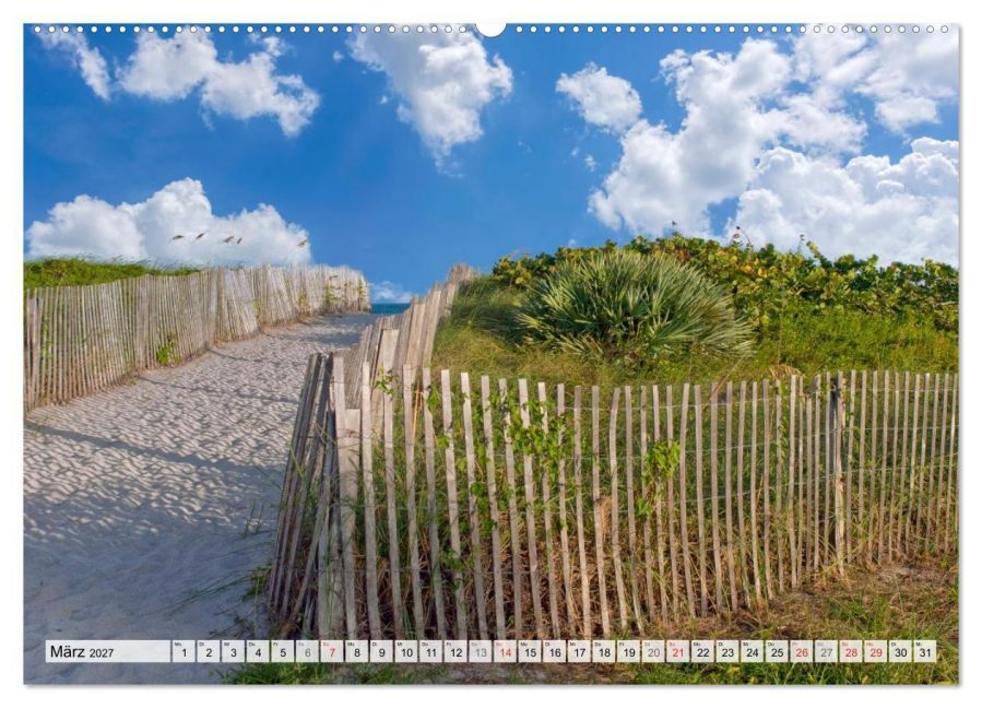 InsideView 8