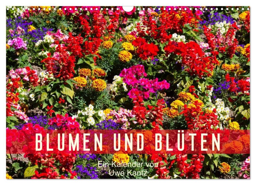 Blumen und Blüten (Wandkalender 2026 DIN A3 quer), CALVENDO Monatskalender - Uwe Kantz