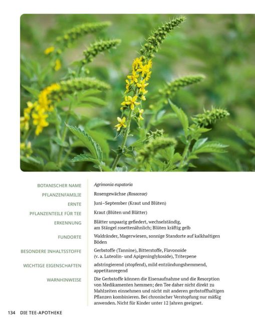 InsideView 14