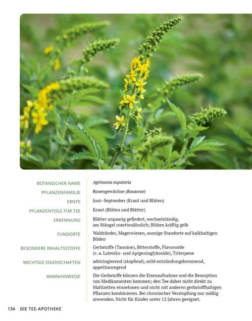 InsideView 14