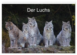 Cover-Bild zum Titel 'Der Luchs (Wandkalender 2026 DIN A2 quer), CALVENDO Monatskalender' von 'Alexander von Düren'