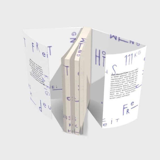 InsideView 4