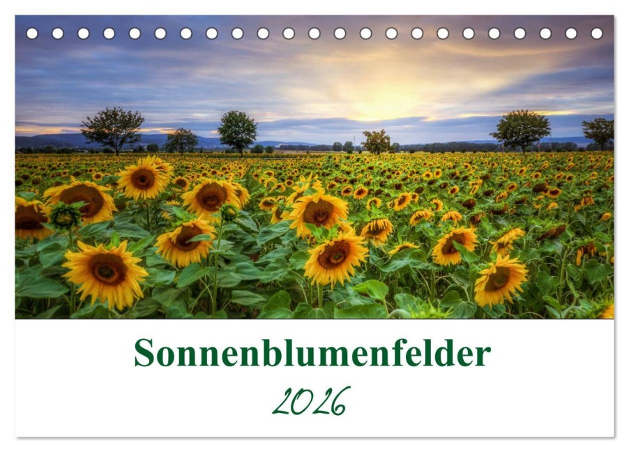 Sonnenblumenfelder (Tischkalender 2026 DIN A5 quer), CALVENDO Monatskalender - Gierok, Steffen Magic Artist Design