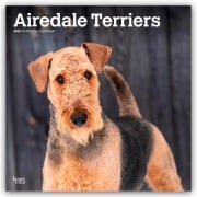 Airedale Terrier 2026 - 16-Monatskalender - Browntrout Publishers