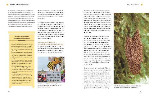 InsideView 4
